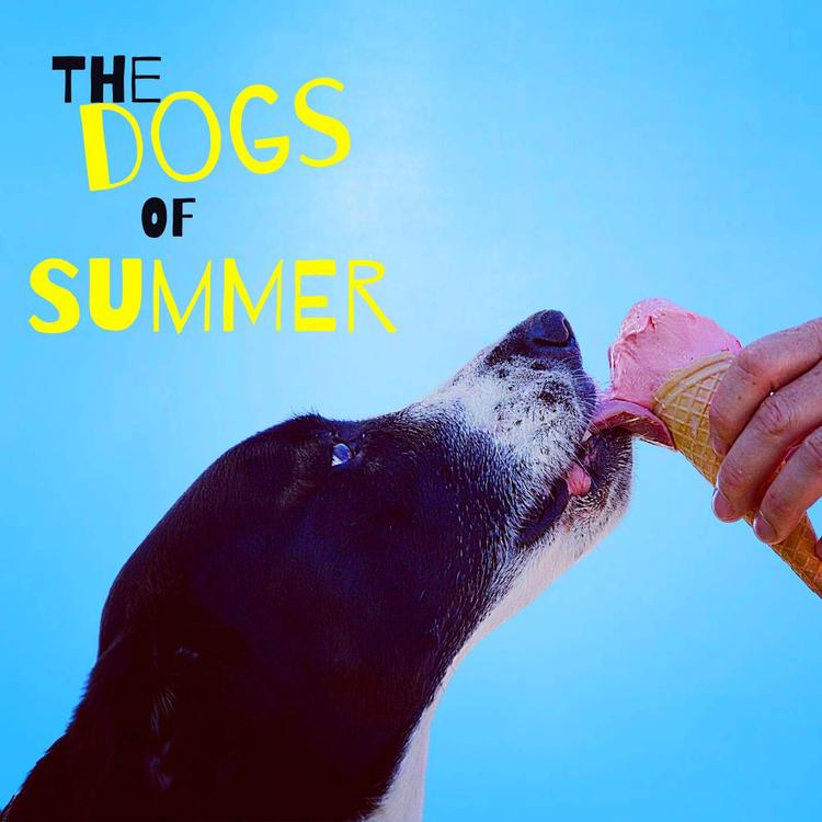 The Dogs of Summer's avatar image
