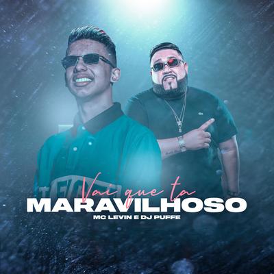 Vai Que Tá Maravilhoso By MC Levin, Dj Puffe's cover