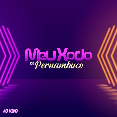 Diz pra Mim Que Vem (Ao Vivo) By Banda Meu Xodó De Pernambuco's cover