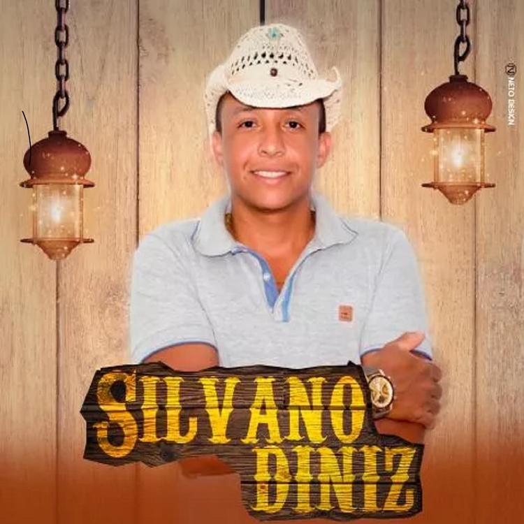 Silvano Diniz's avatar image