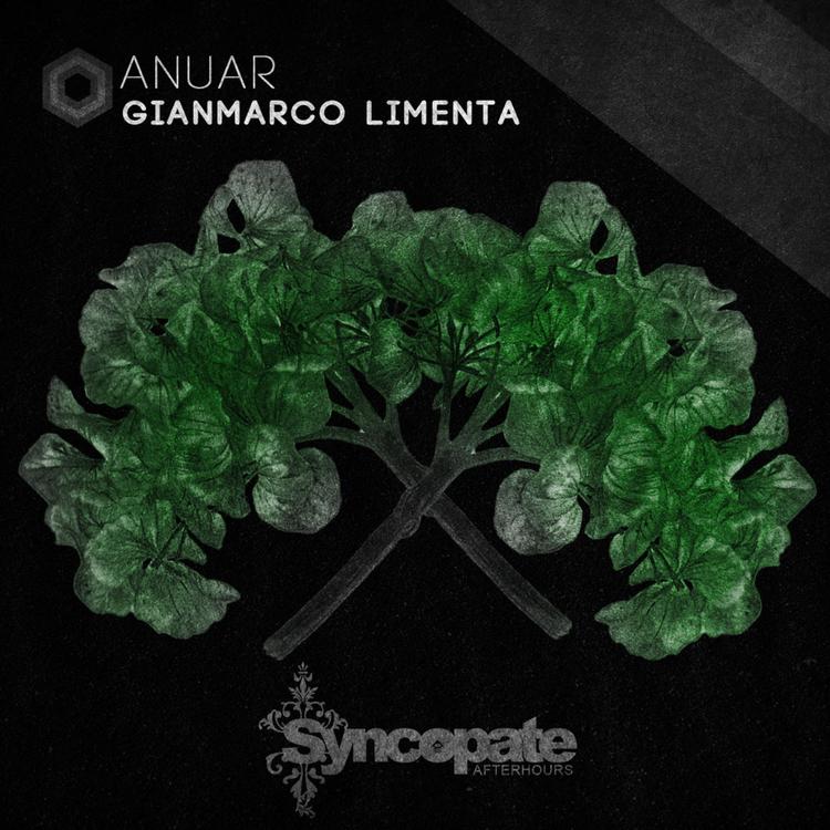 Gianmarco Limenta's avatar image