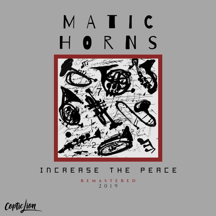 Matic Horns's avatar image