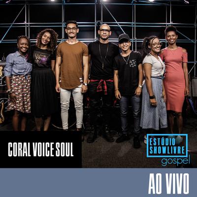 Como Posso Viver (Ao Vivo) By Coral Voice Soul's cover