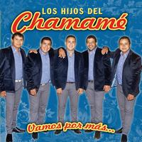 Los Hijos Del Chamamé's avatar cover