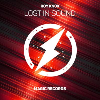 Lost In Sound By ROY KNOX's cover