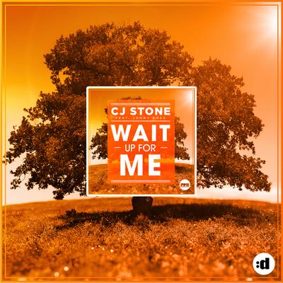 Wait up for Me (feat. Jonny Rose) (Adrima Edit) By CJ Stone, Jonny Rose's cover