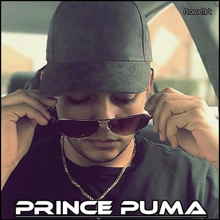 Prince Puma's avatar image