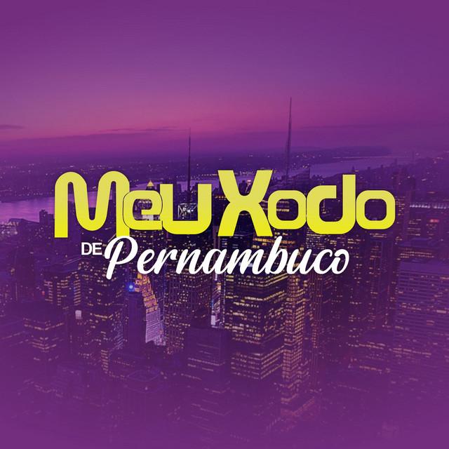 Banda Meu Xodó De Pernambuco's avatar image