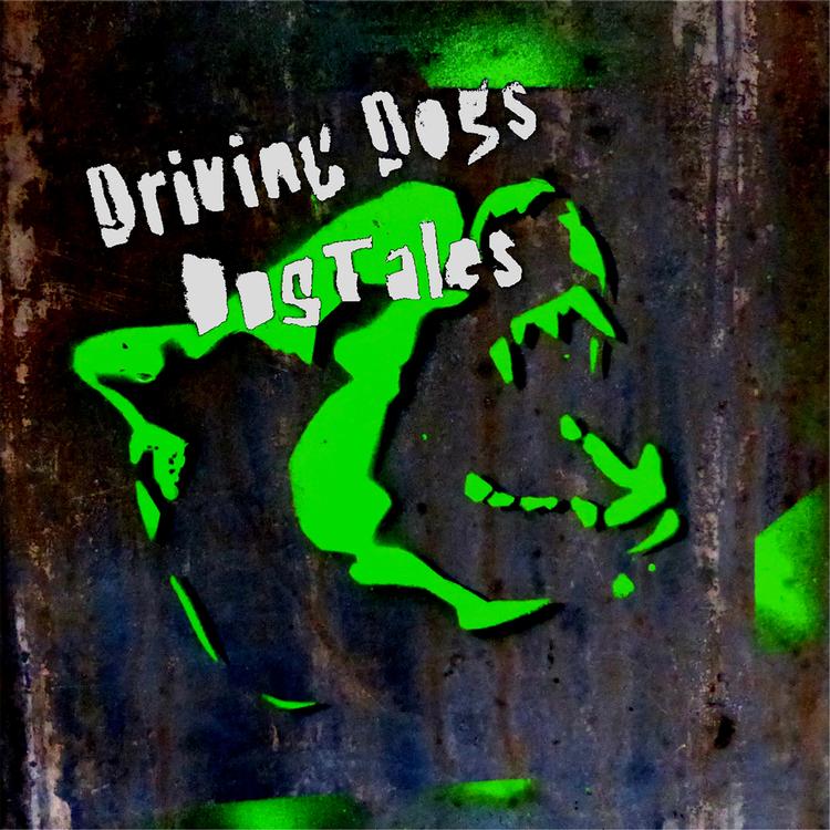 Driving Dogs's avatar image