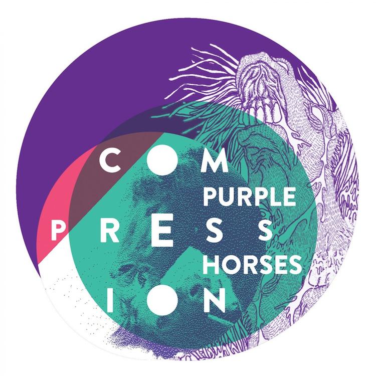 Purple Horses's avatar image