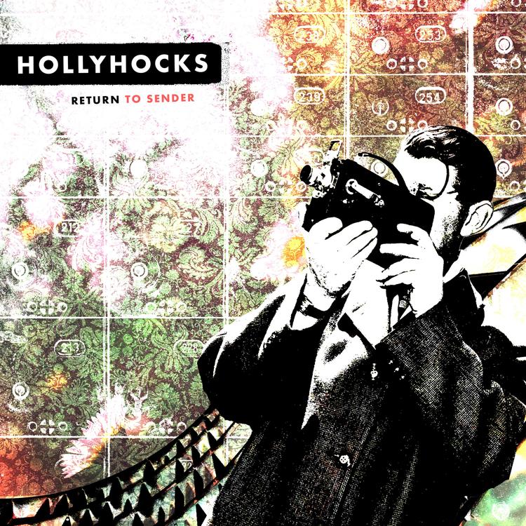 Hollyhocks's avatar image