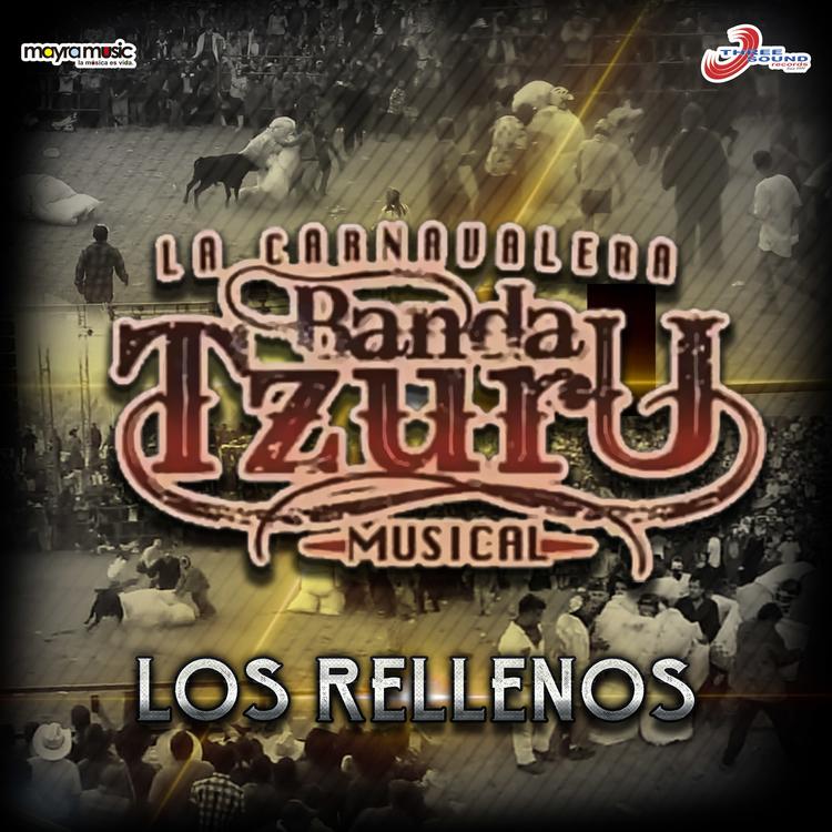 La Carnavalera Banda Tzuru Musical's avatar image