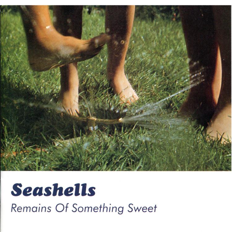 Seashells's avatar image