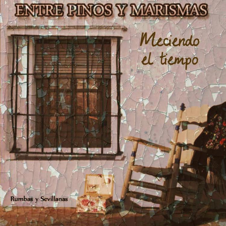 Entre Pinos y Marismas's avatar image