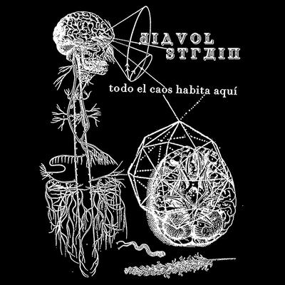 Todo el Caos Habita Aquí By Diavol Strâin's cover