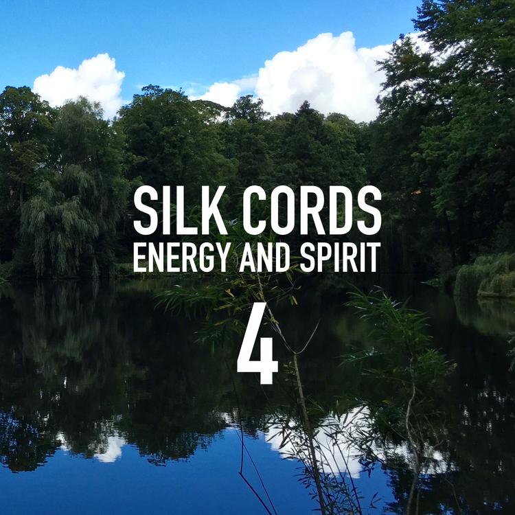 Silk Cords's avatar image