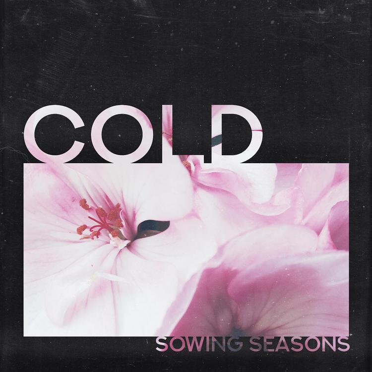 Sowing Seasons's avatar image