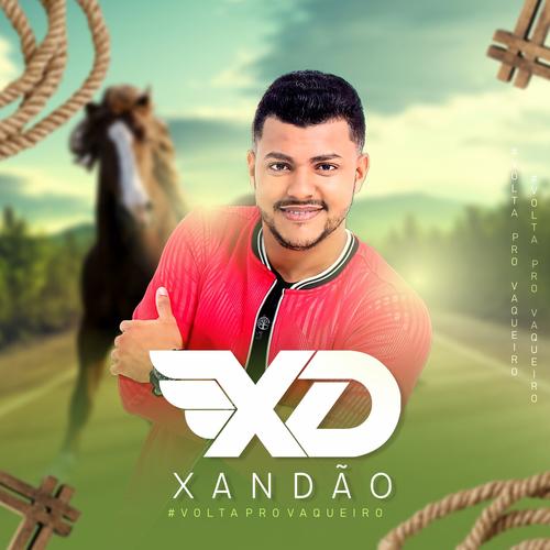 Xandão Oficial's cover