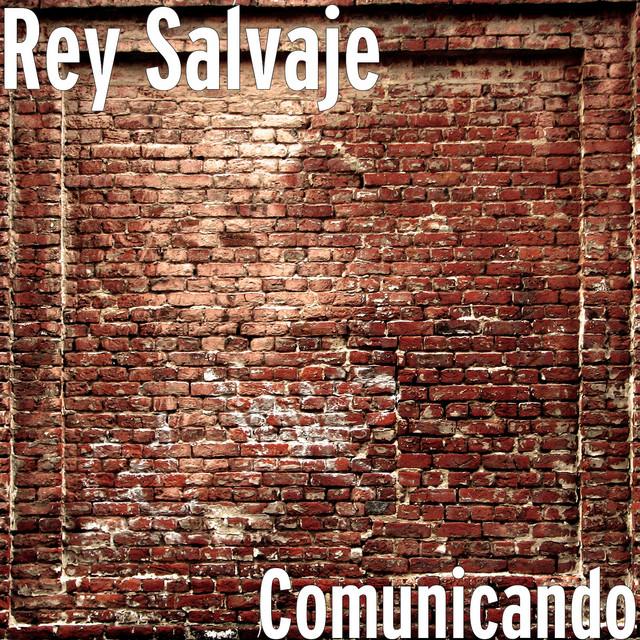 Rey Salvaje's avatar image