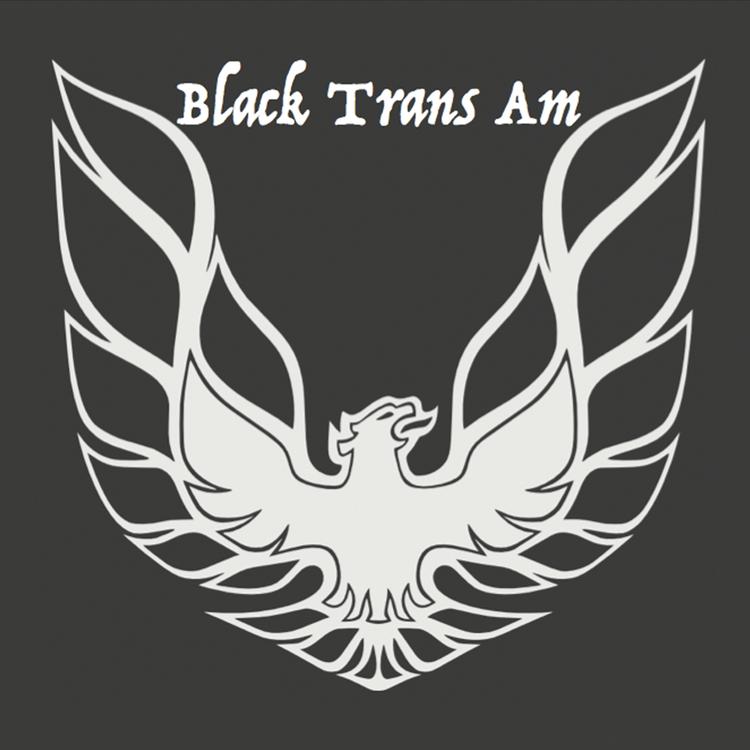 Black Trans Am's avatar image