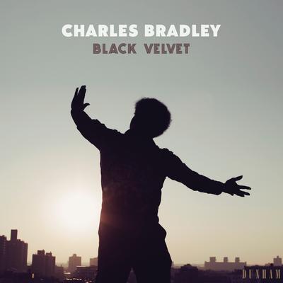 Black Velvet's cover