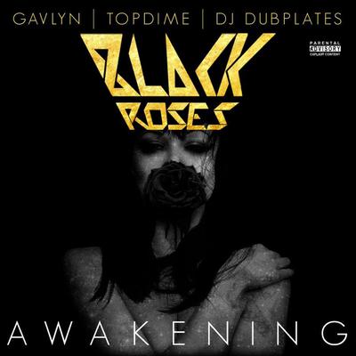 Awakening (feat. Gavlyn, Topdime, and DJ Dubplates)'s cover