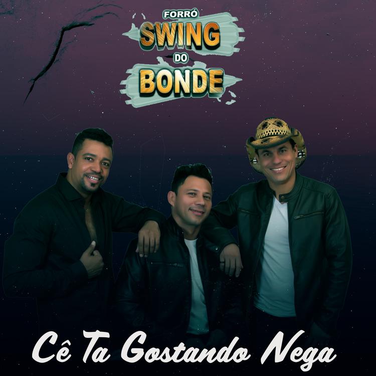 Forró Swing Do Bonde's avatar image