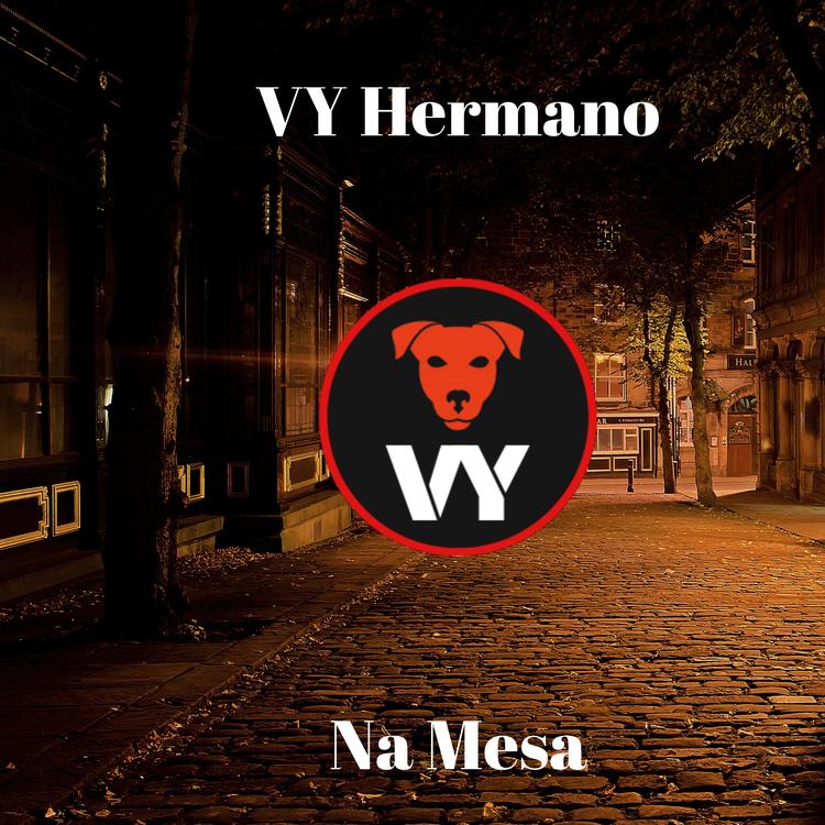 Vy Hermano's avatar image