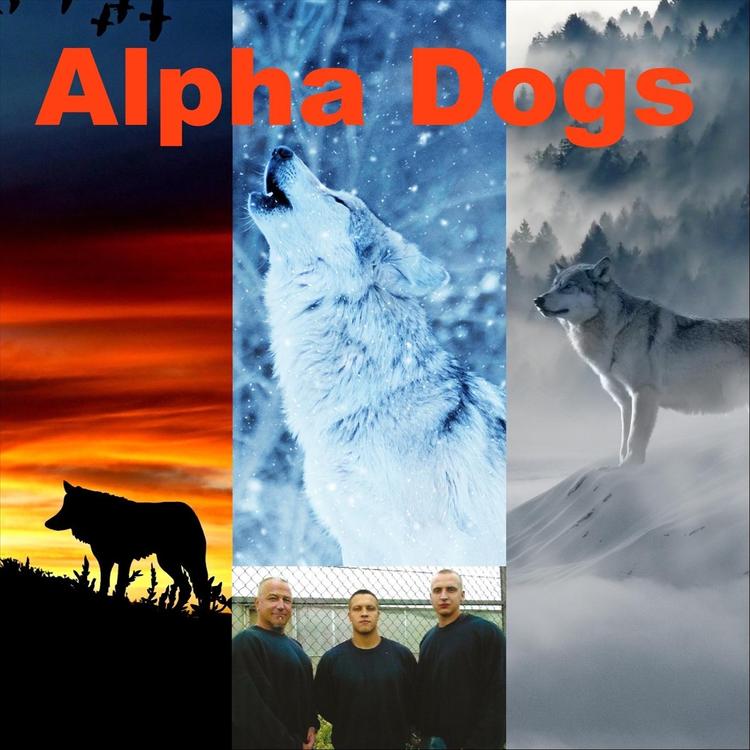 Alpha Dogs's avatar image