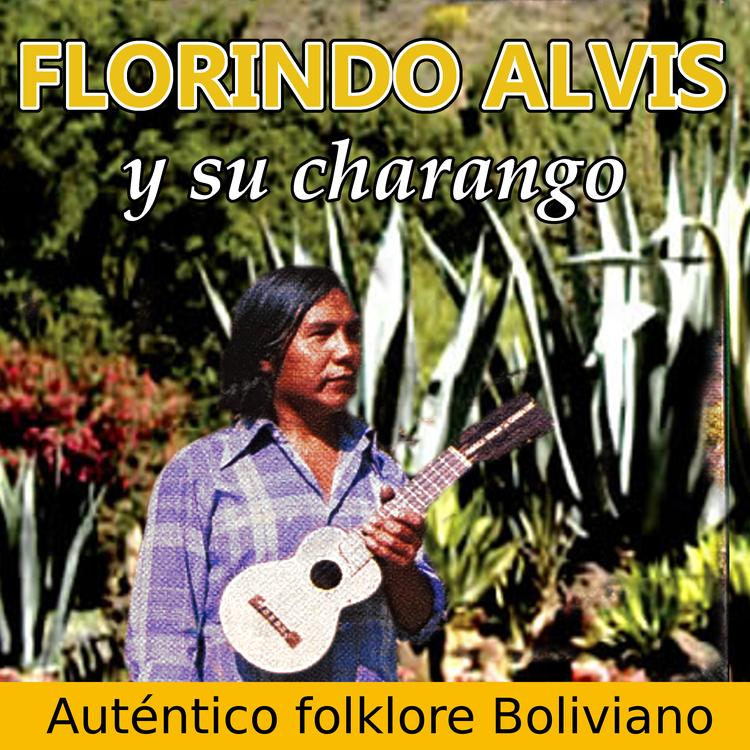 Florindo Alvis's avatar image