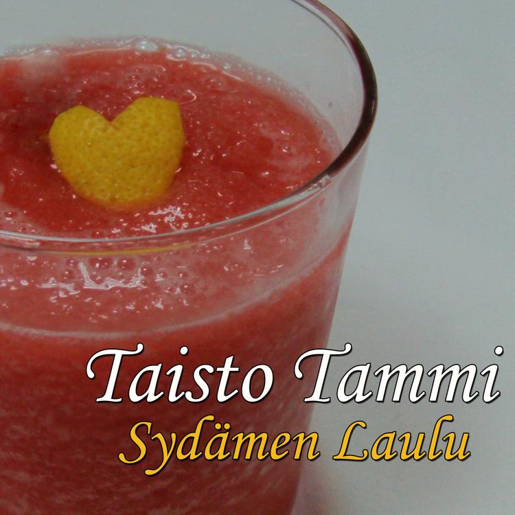 Taisto Tammi's avatar image