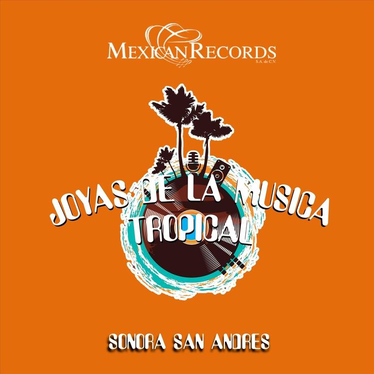 Sonora San Andres's avatar image