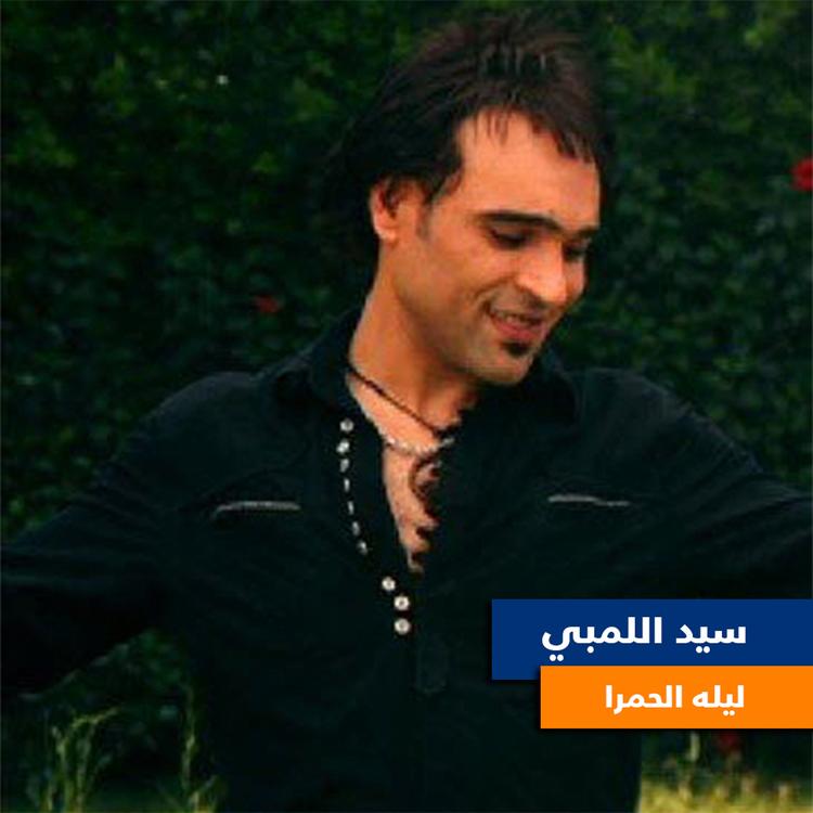 Sayed El Lemby's avatar image