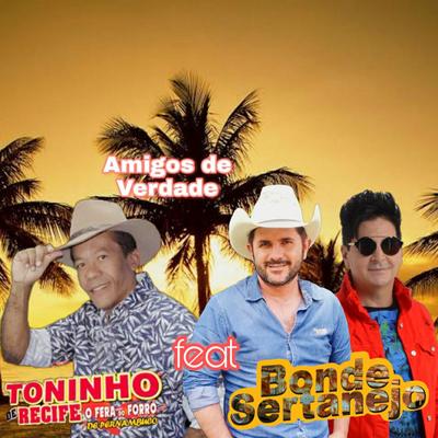 Toninho de Recife o Fera do Forró's cover