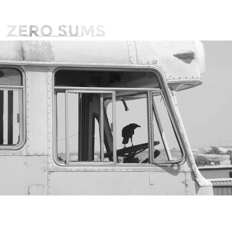 Zero Sums's avatar image