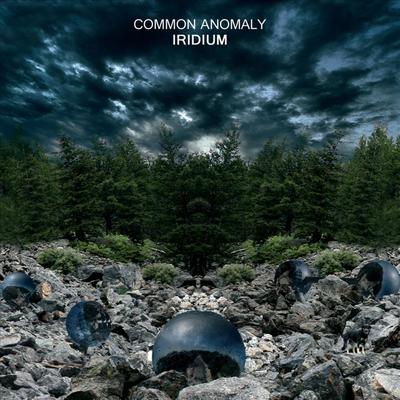 Common Anomaly's cover
