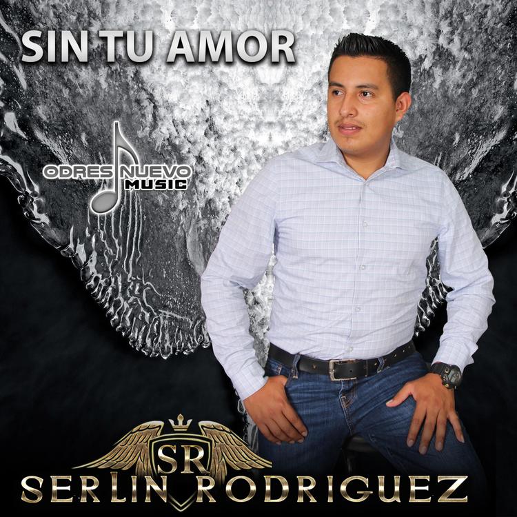 Serlin Rodriguez's avatar image