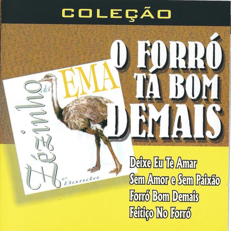 Zezinho da Ema e Banda's avatar image