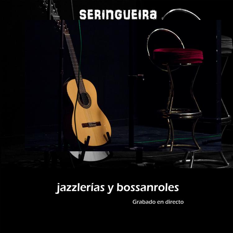 Seringueira's avatar image