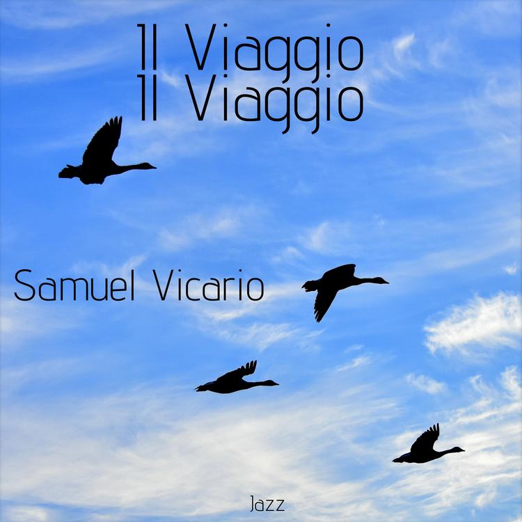 Samuel Vicario's avatar image