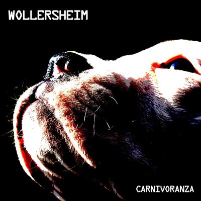 Quicksand (Radio Edit) By Wollersheim's cover