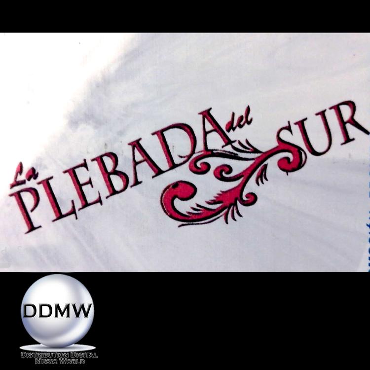 La Plebada Del Sur's avatar image