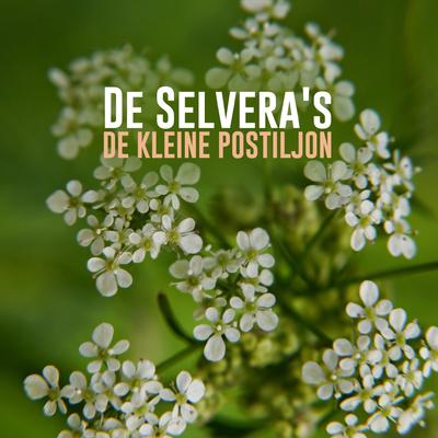 De Kleine Postiljon's cover