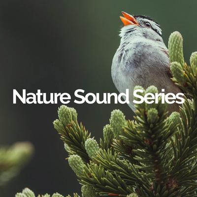 Nature Sound Series's cover