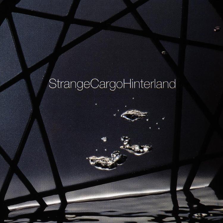 Strange Cargo's avatar image