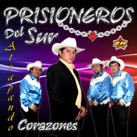 Prisioneros del Sur's avatar cover