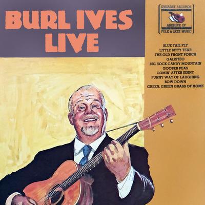 Little Bitty Tear By Burl Ives's cover