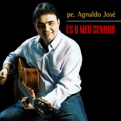 Perdão, Senhor By Padre Agnaldo José's cover