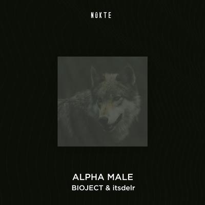Alpha Male's cover