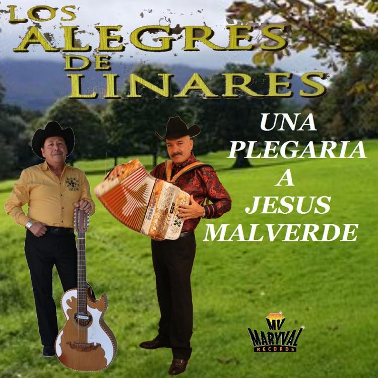 Los Alegres de Linares's avatar image